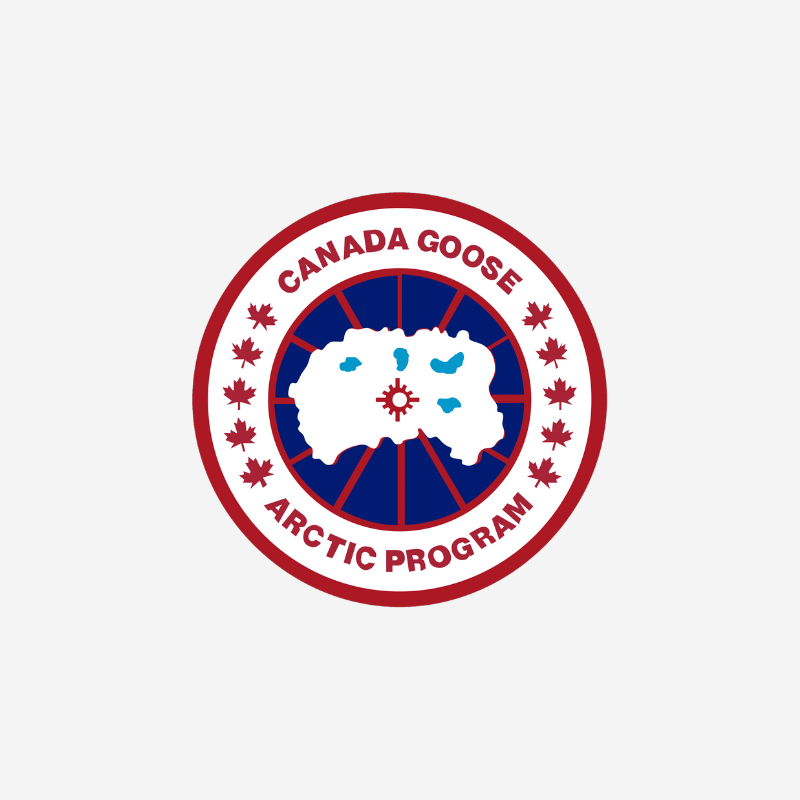canada goose